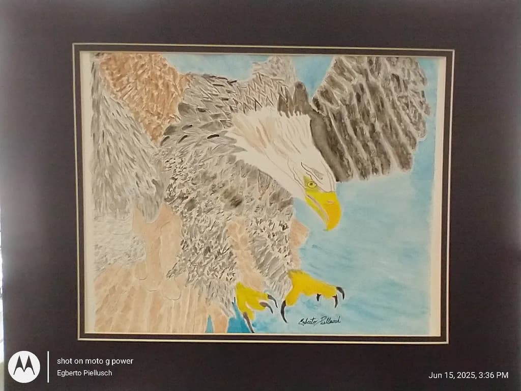 Soaring Sentinel
