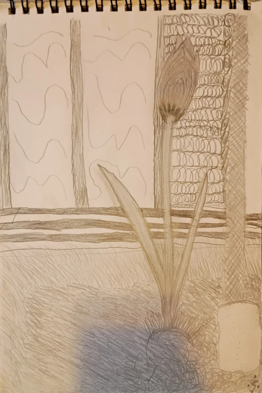 Window Plant Sketch