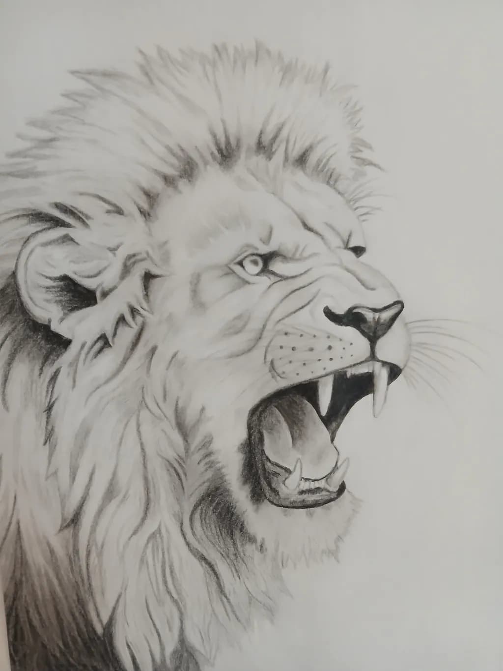 Roaring Majesty