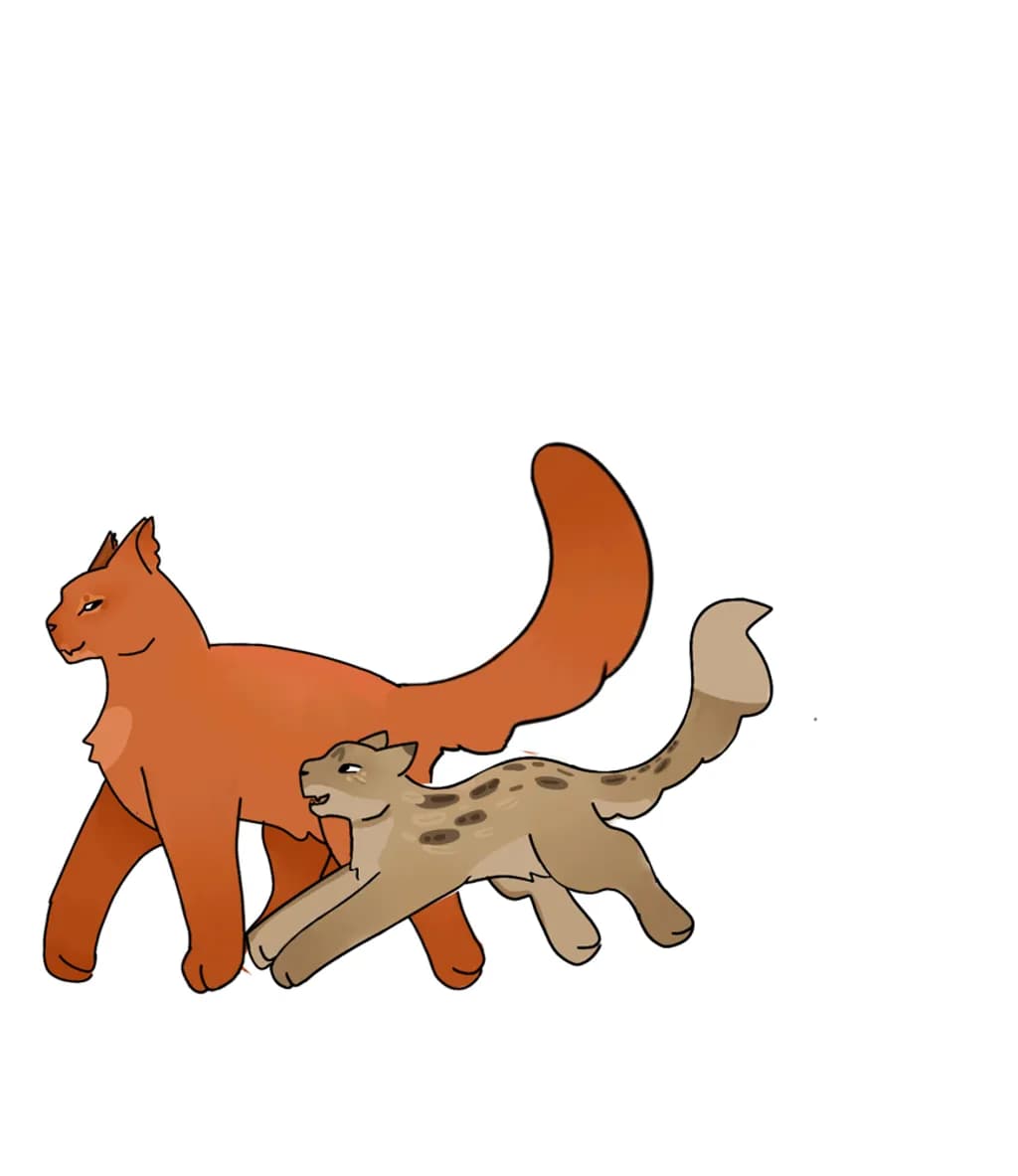 Stride and Pounce