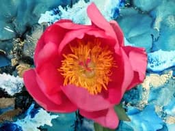 Cerise Fantasy II