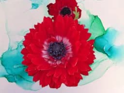 Red Anemone Fantasy