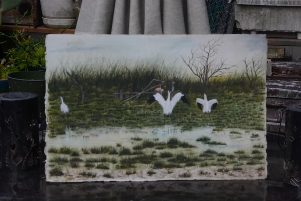 Marshland Grace