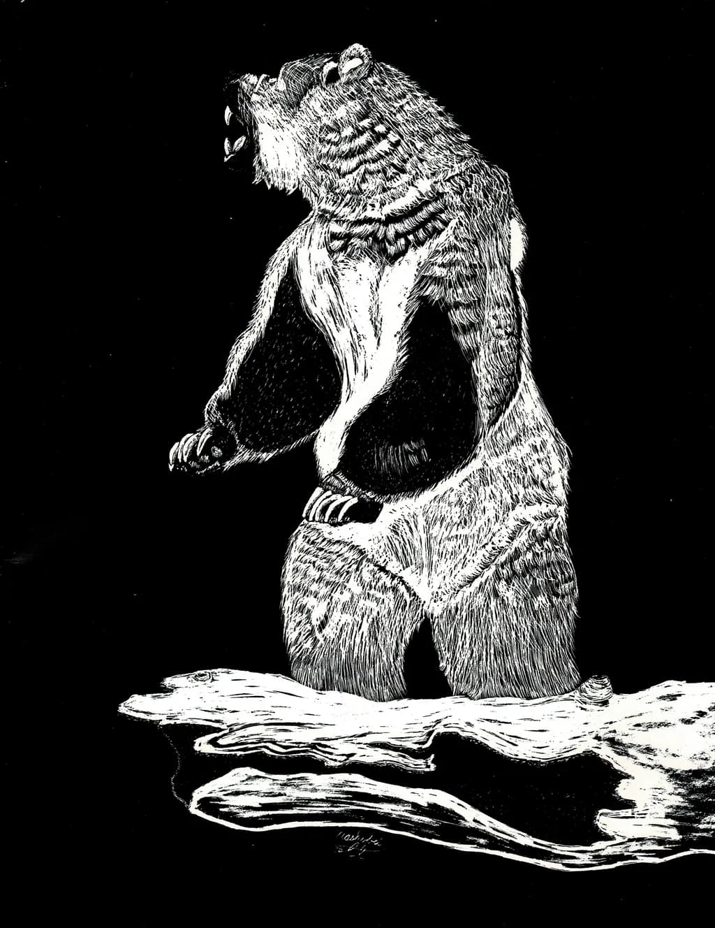 Grizzle Bear