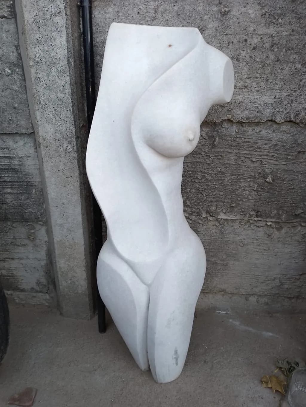 Abstract Female Form