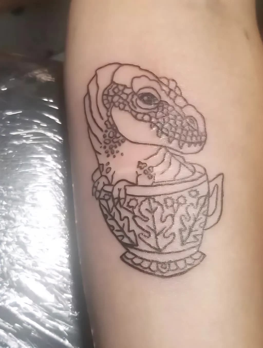 Dinosaur Teacup