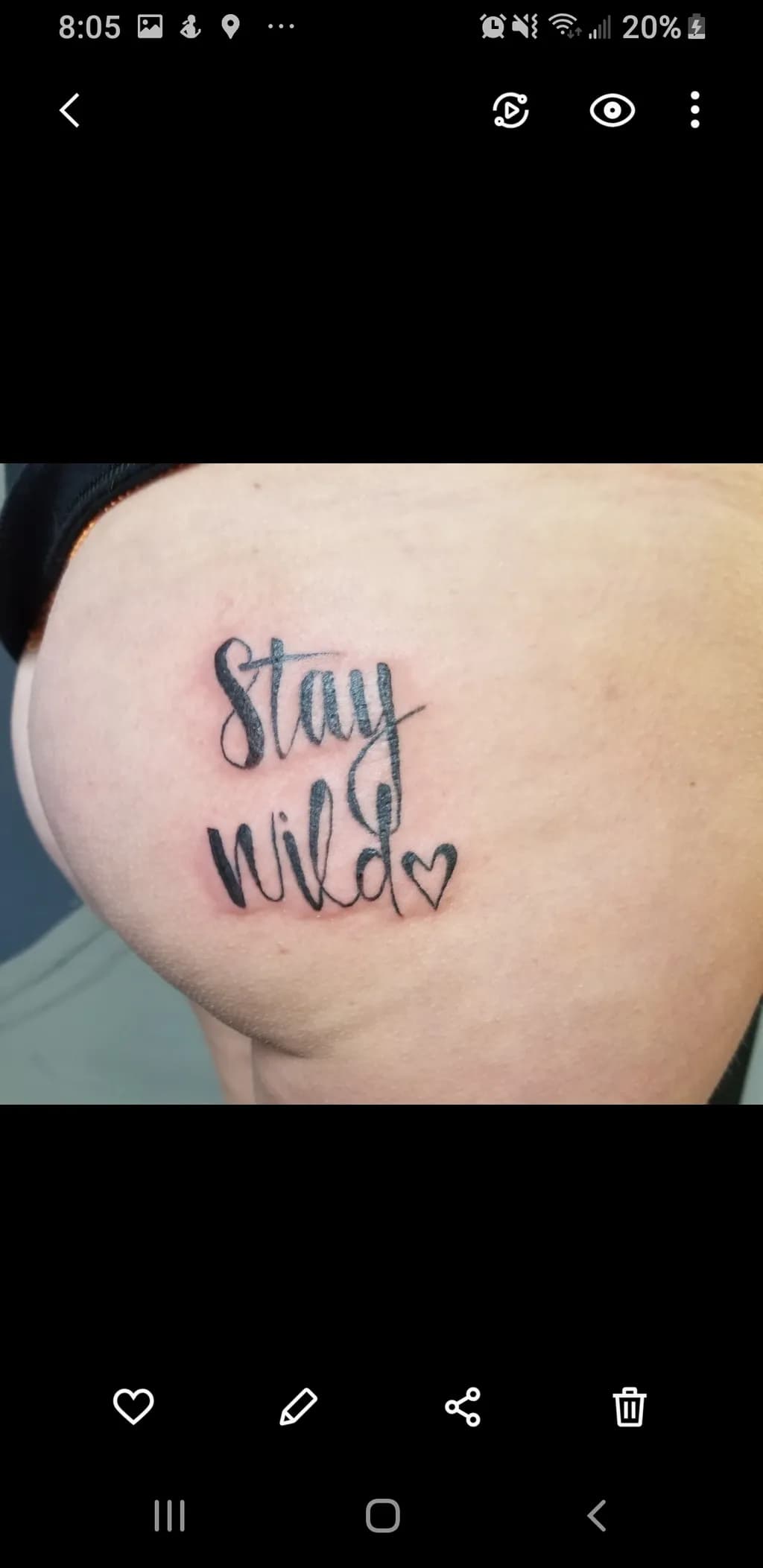Stay Wild