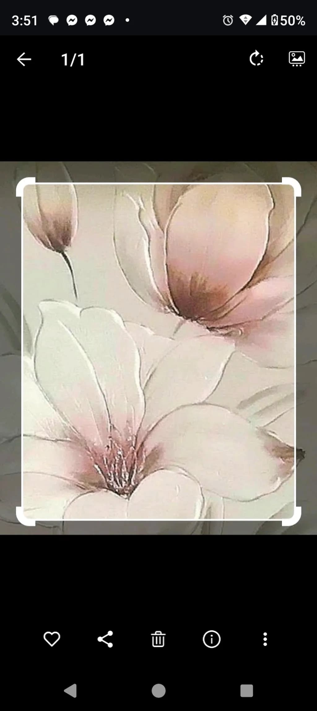 Blush Petals