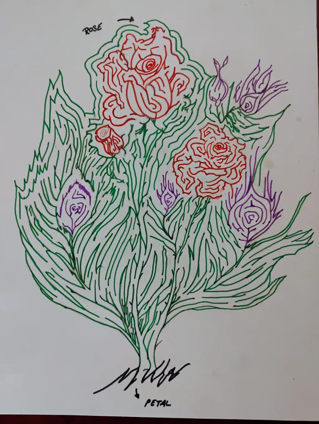 Flowing Rose Lines