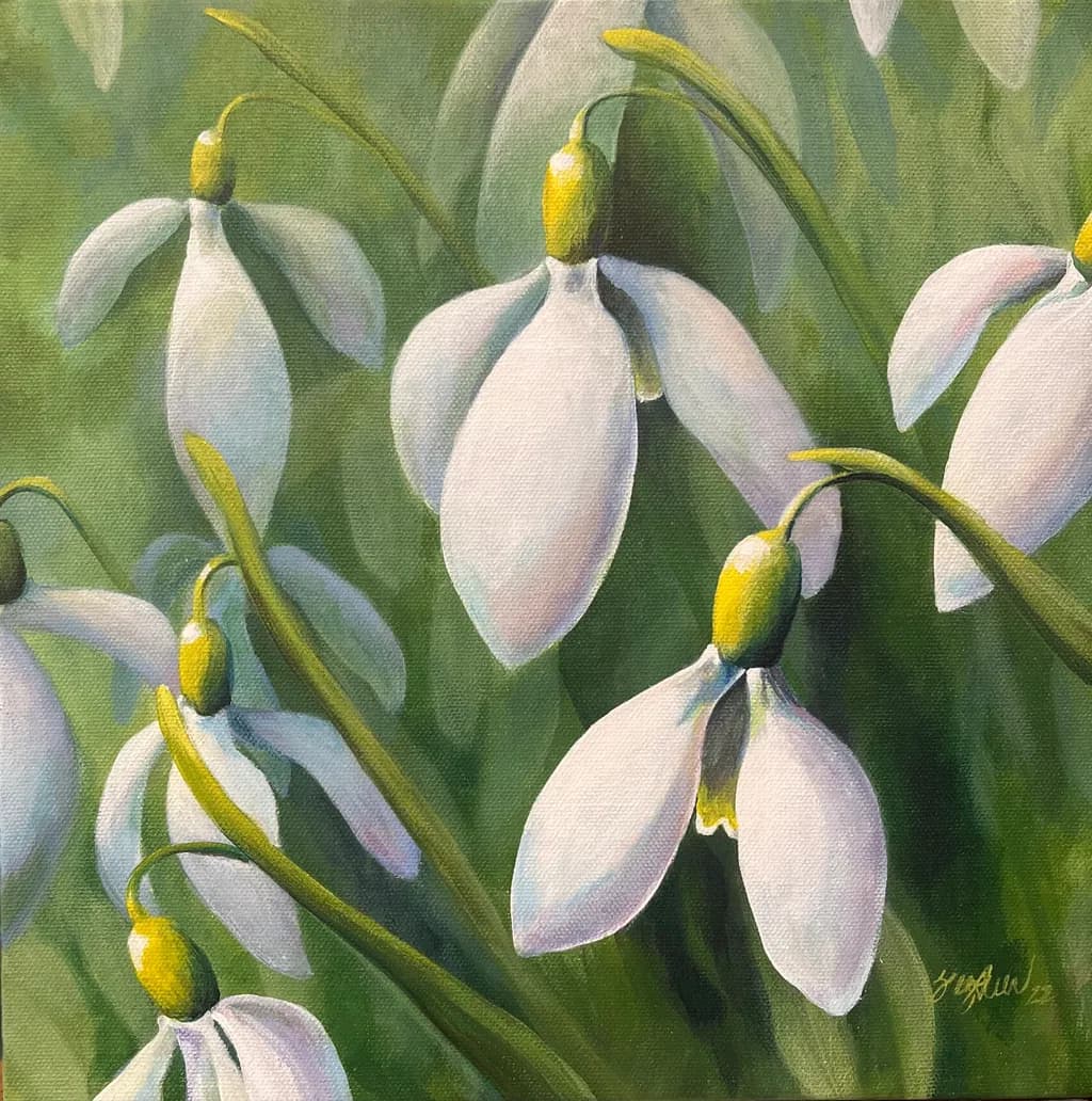 Snowdrop Garden