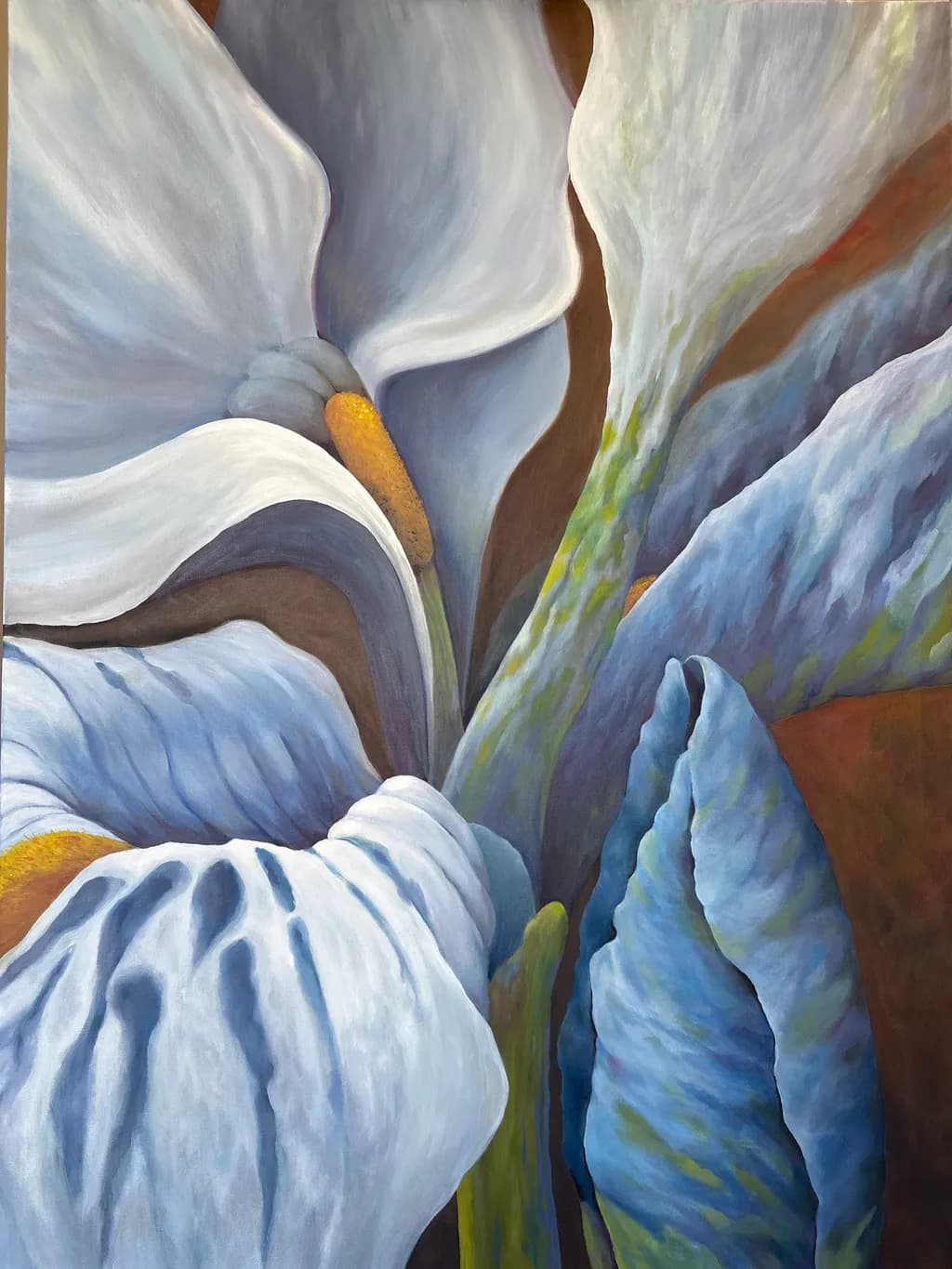 Calla Contours