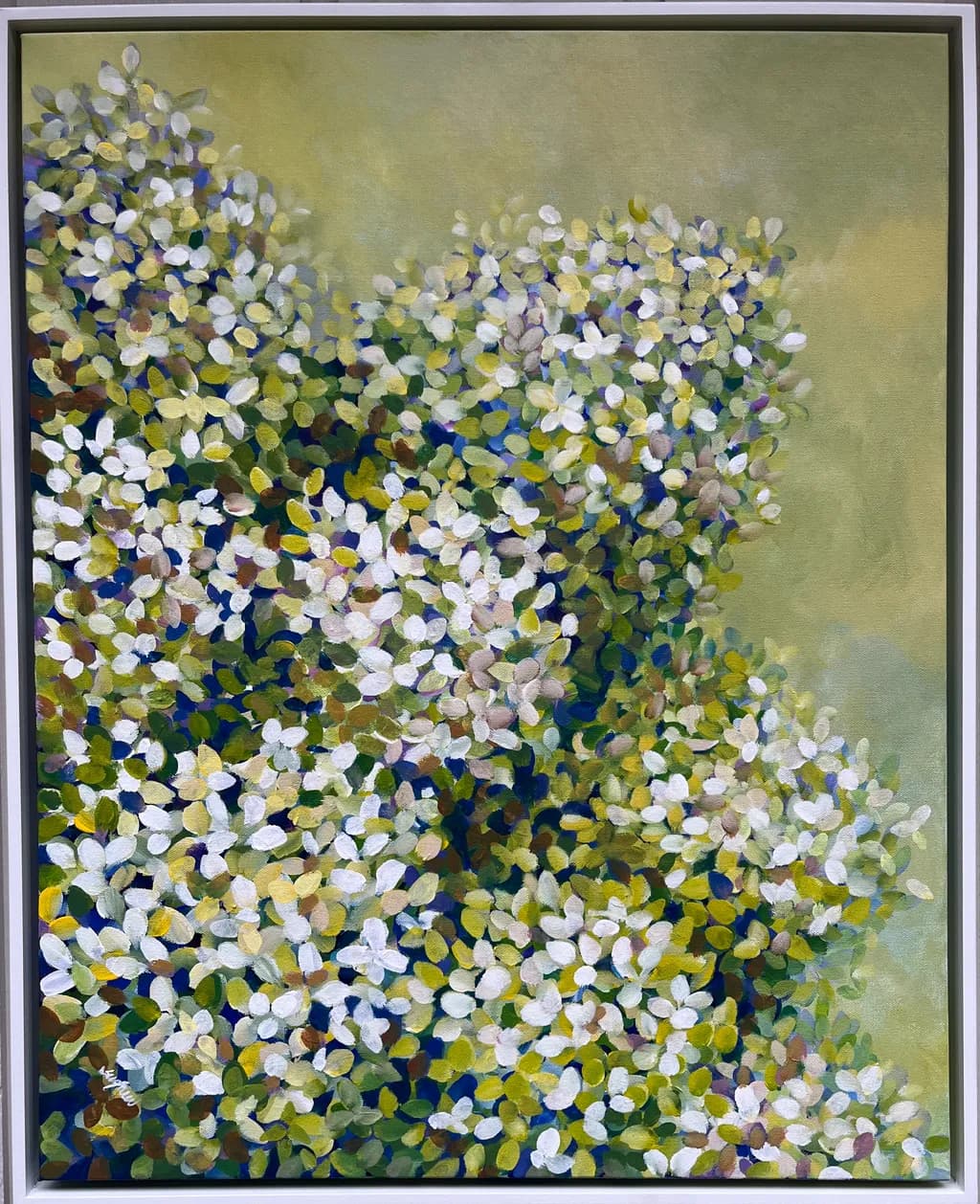 Blossom Cluster