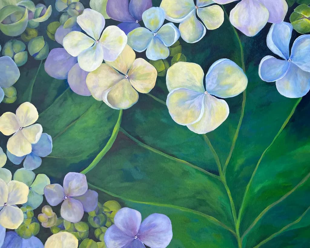 Hydrangea Drift