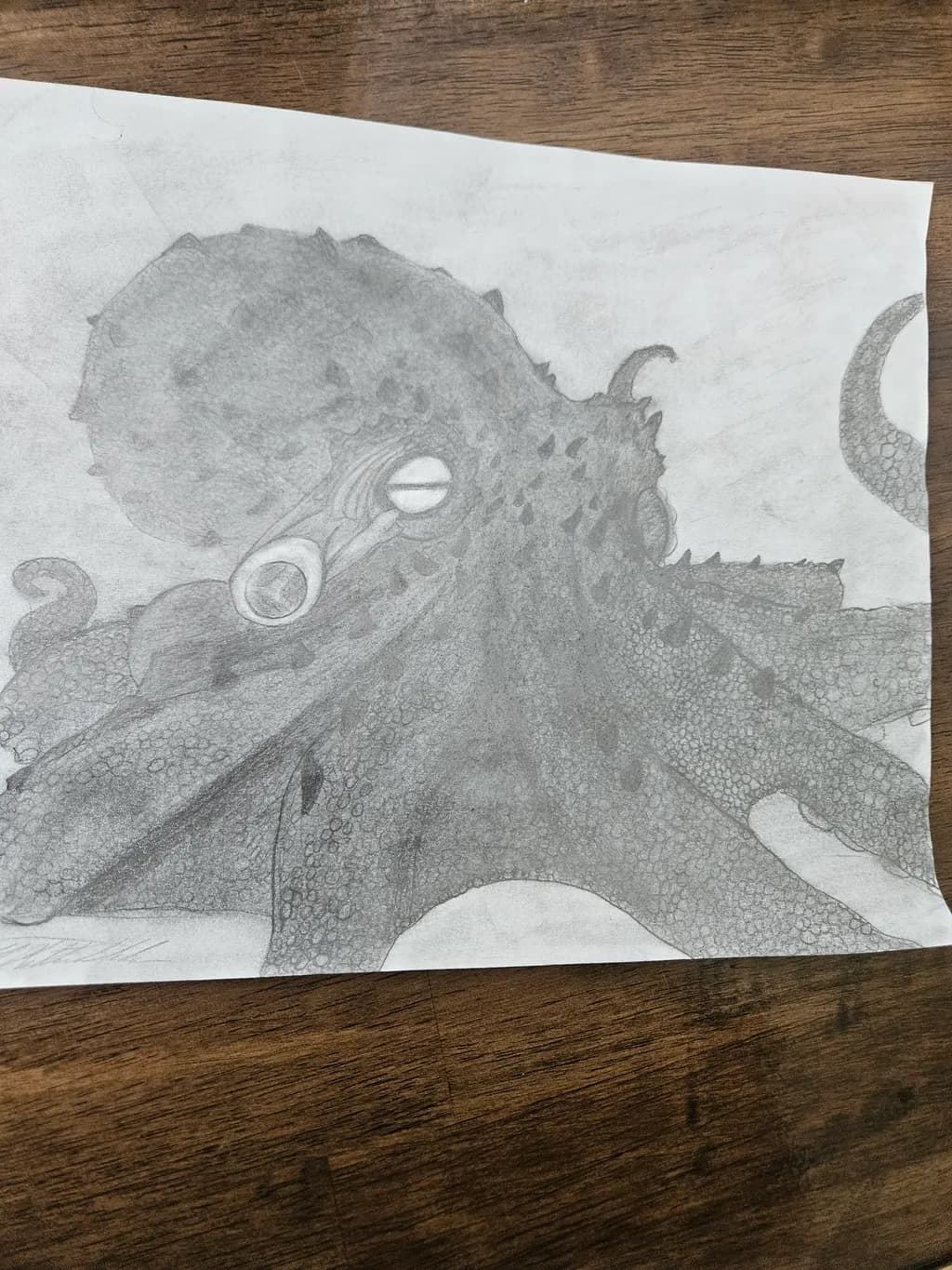 Octopus Texture