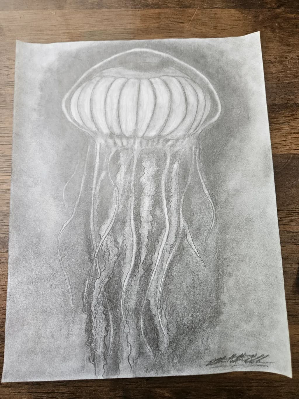 Drifting Jellyfish
