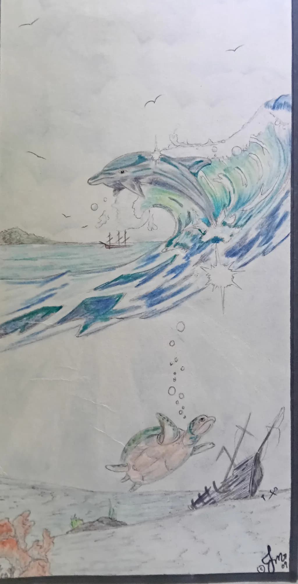 Ocean Guardians