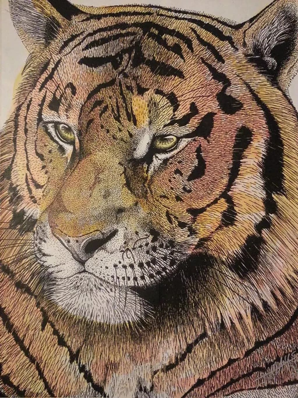 Fierce Gaze