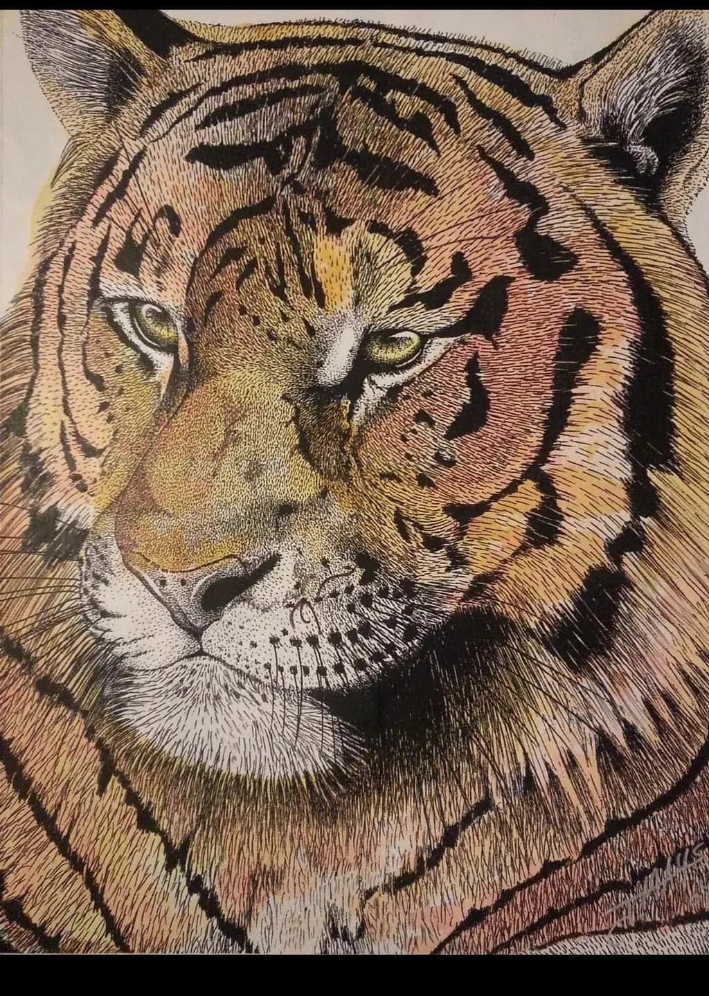 Fierce Gaze