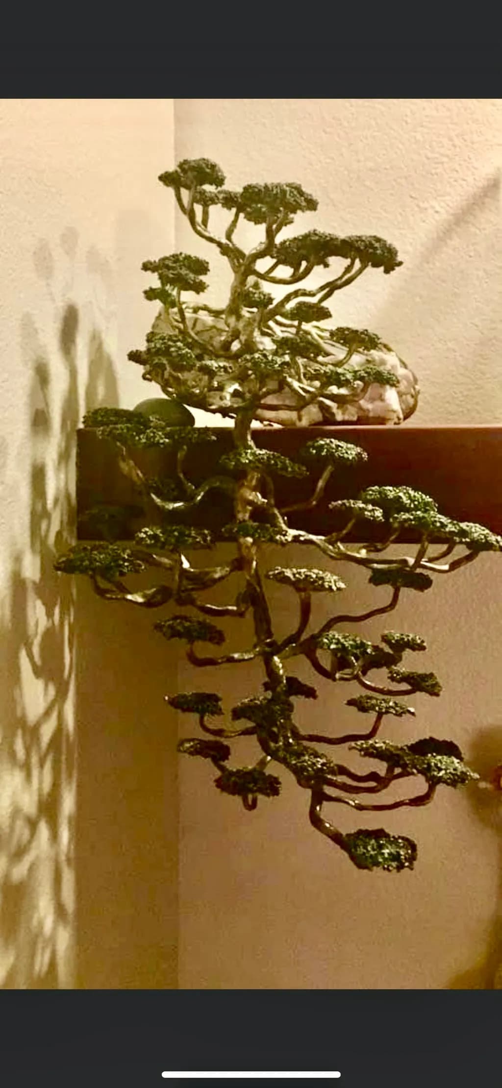 Suspended Bonsai