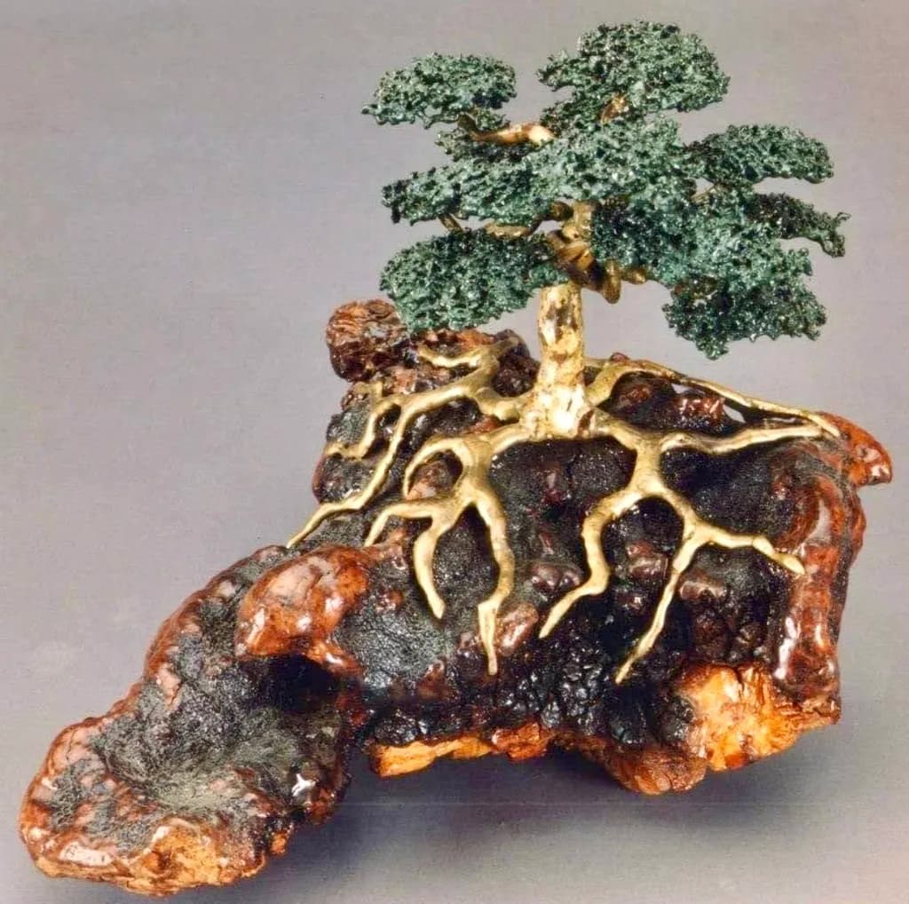 Rooted Splendor