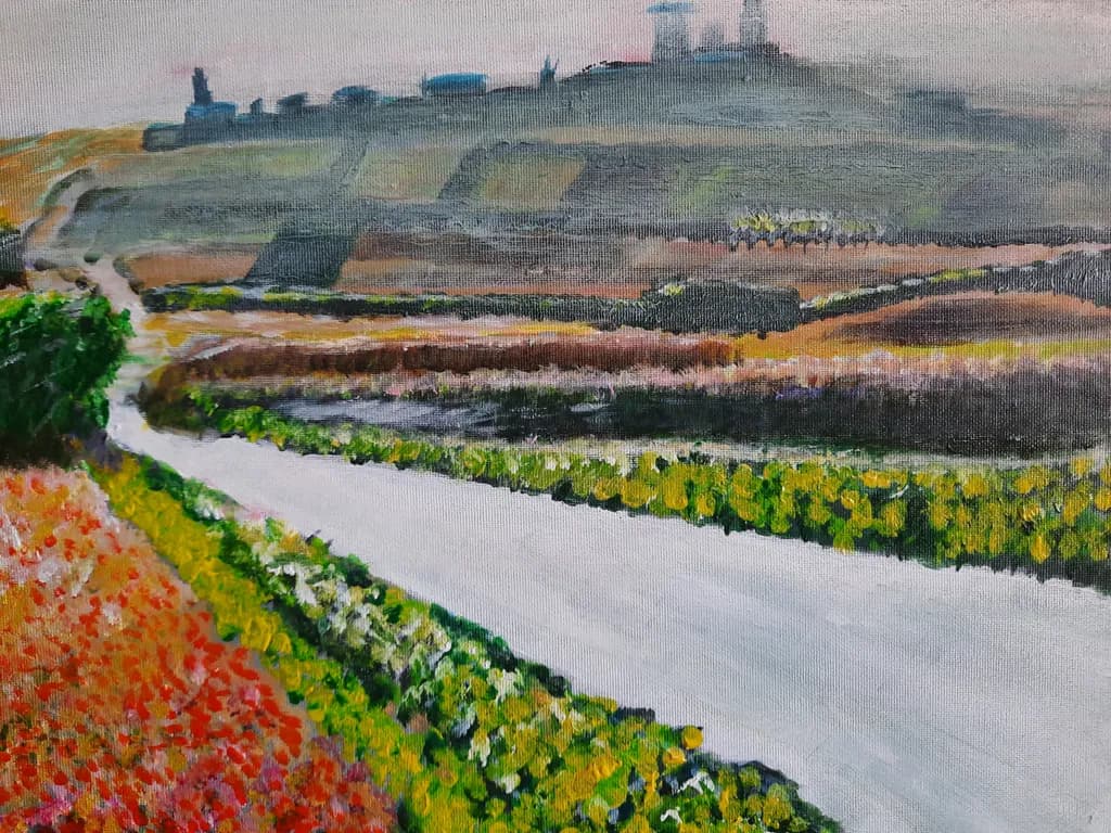 Mist Over Vineyard Hill
