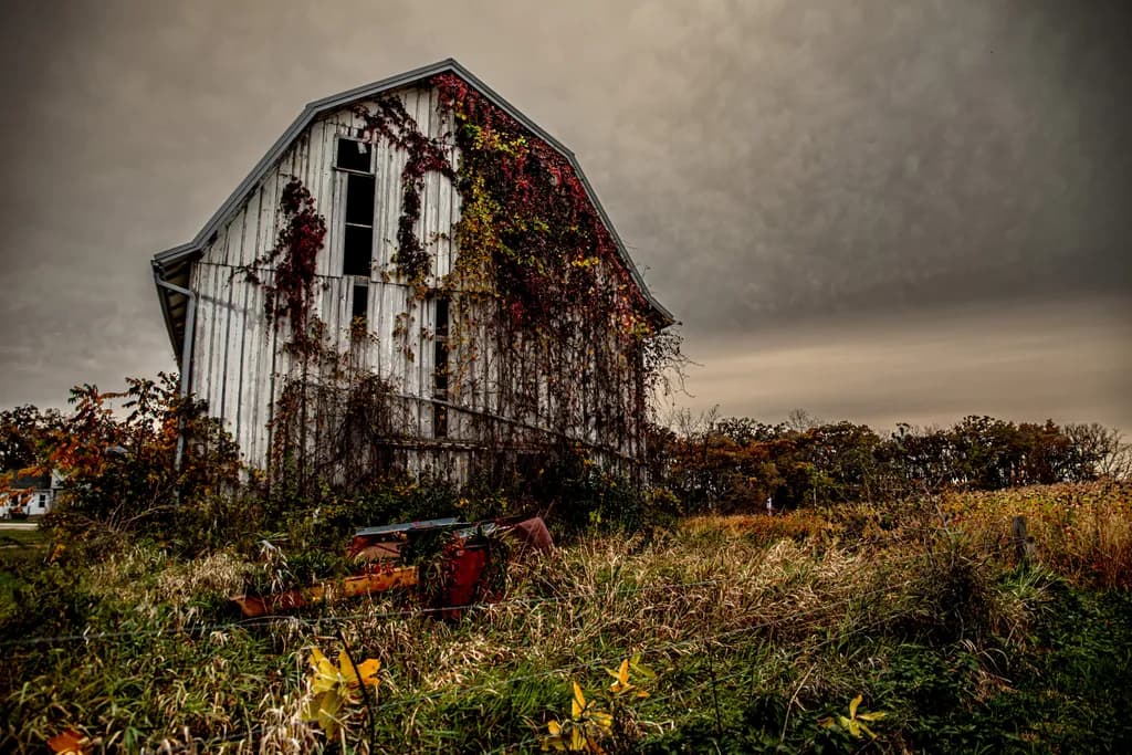 White Barn in Autumn