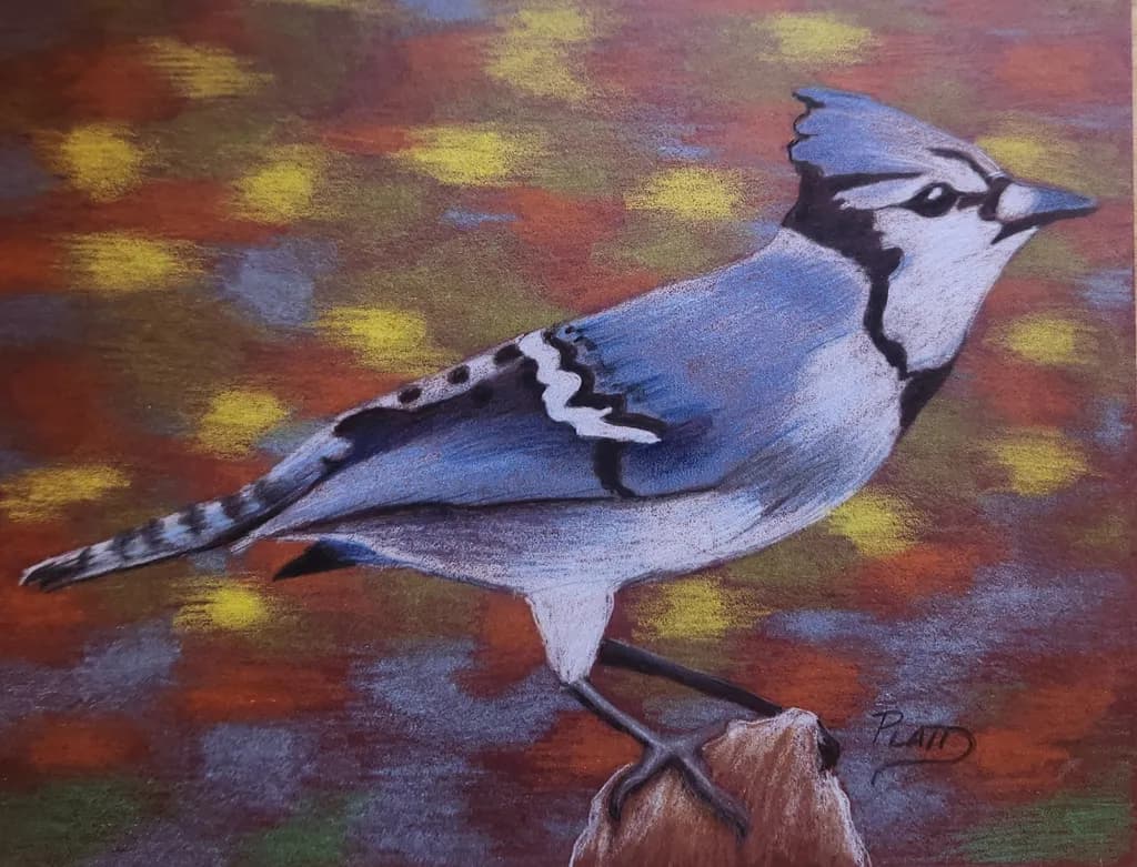 Blue Jay on Autumn Branch