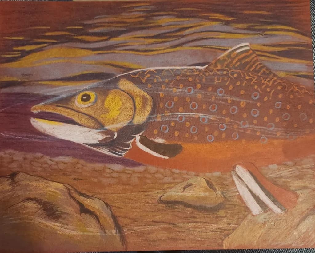 Brook Trout Underwater