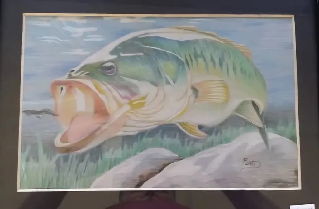 The Hungry Catch