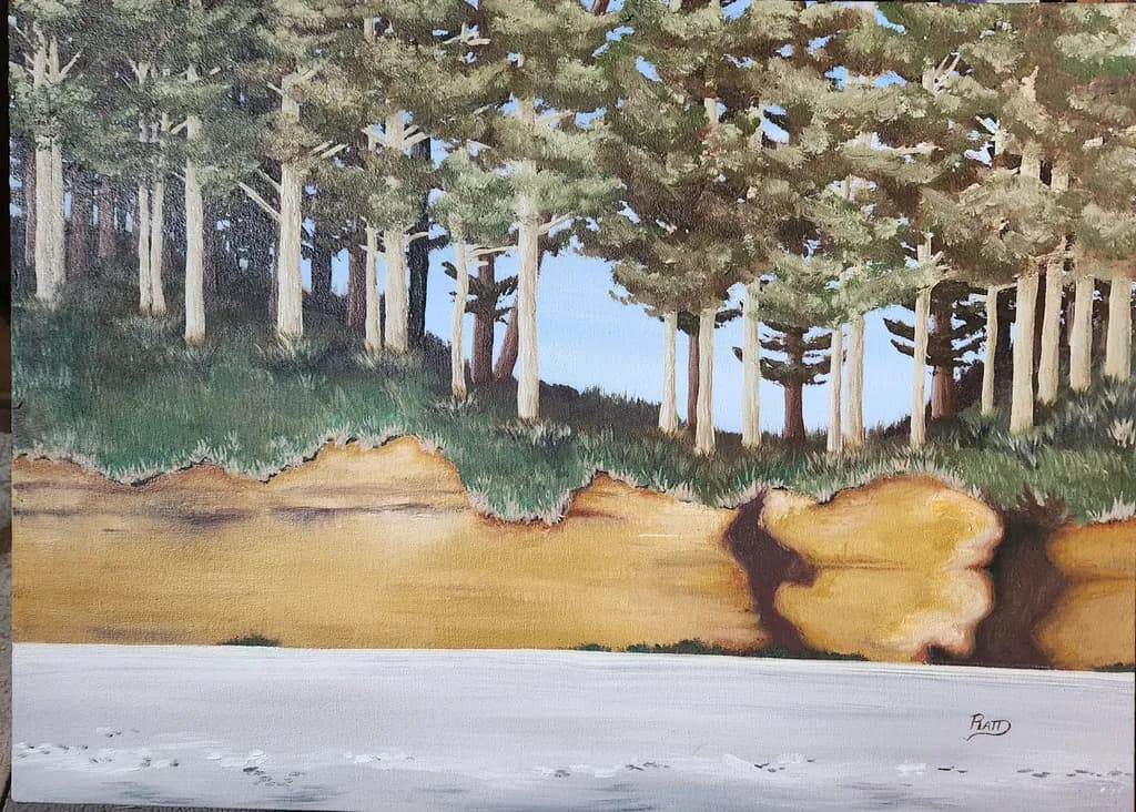 Cliffside Forest