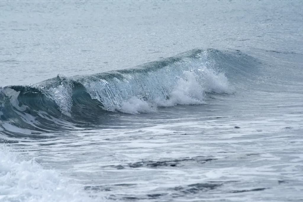 Silent Curl