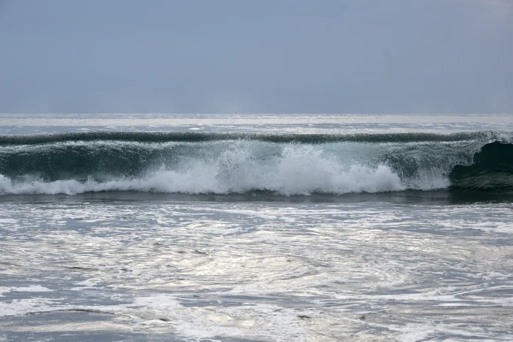 Danta Wave