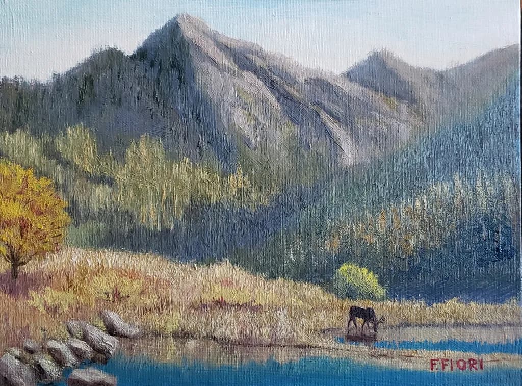 Mountain Reflection