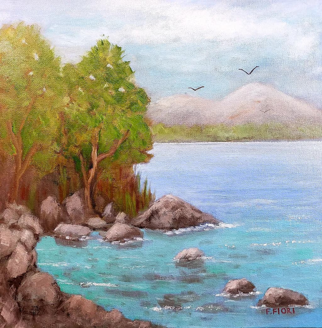 Rocky Shoreline