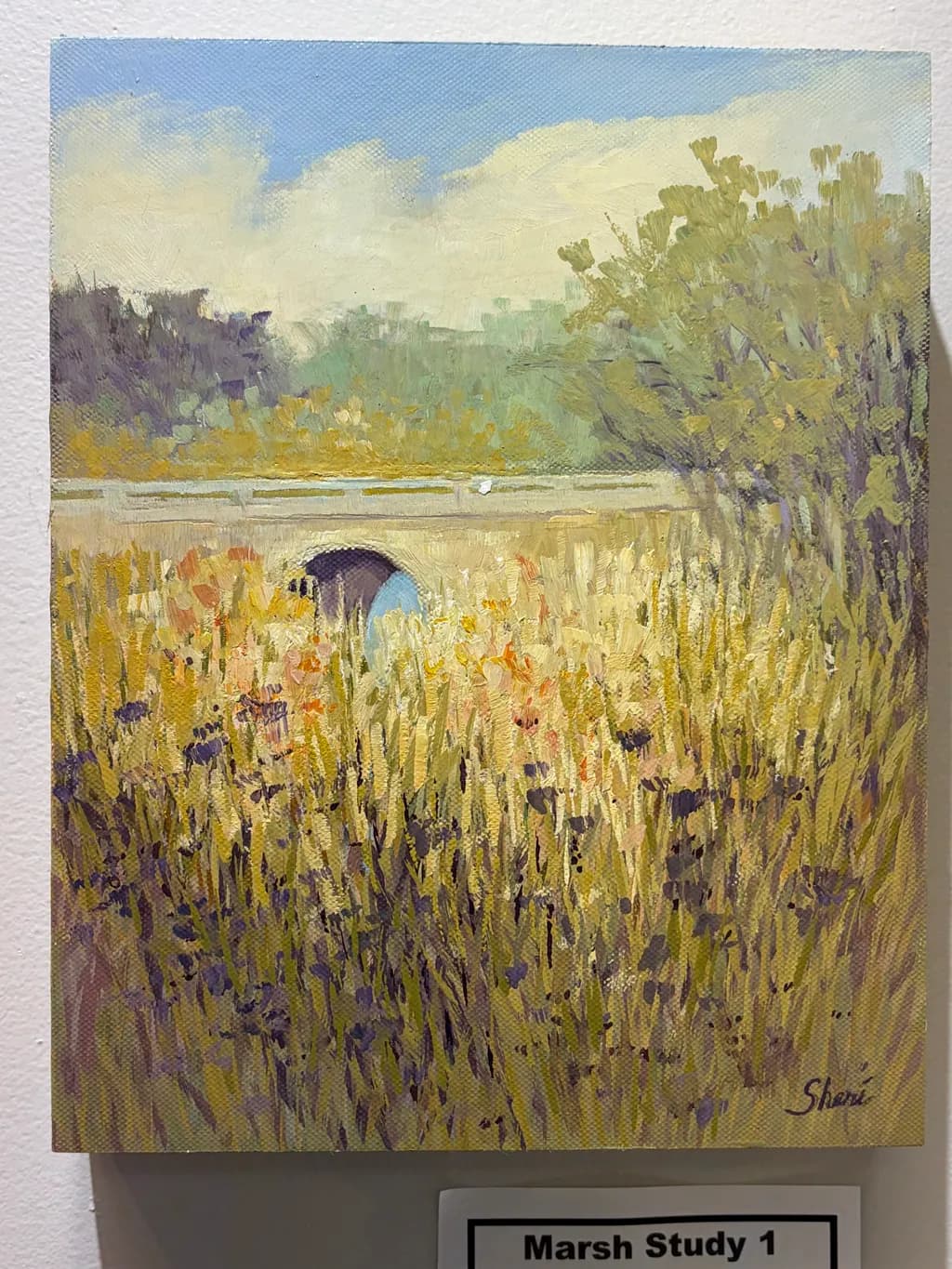 Marsh Study