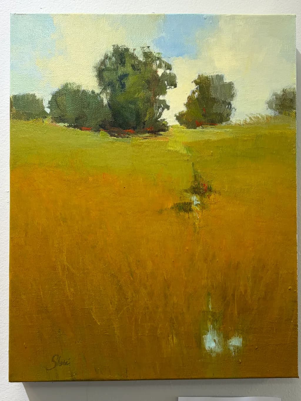 Golden Meadow Creek