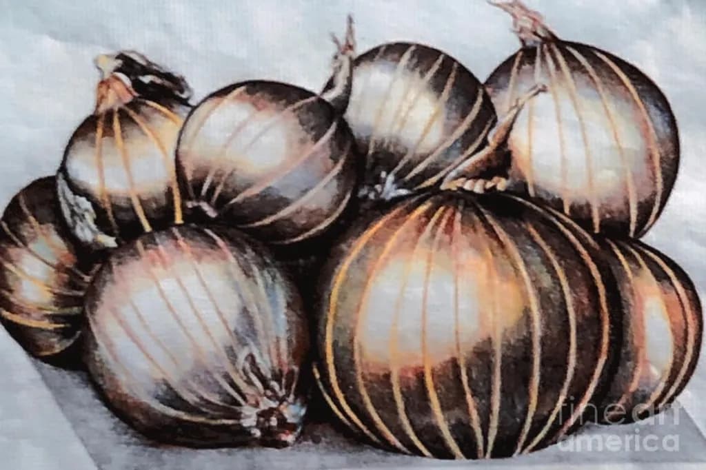 Onion Cluster Study