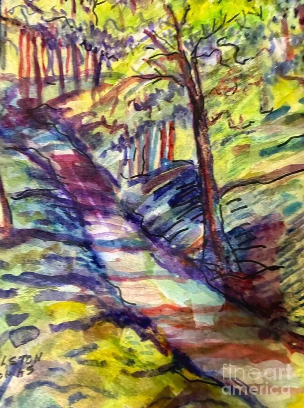Forest Walkway