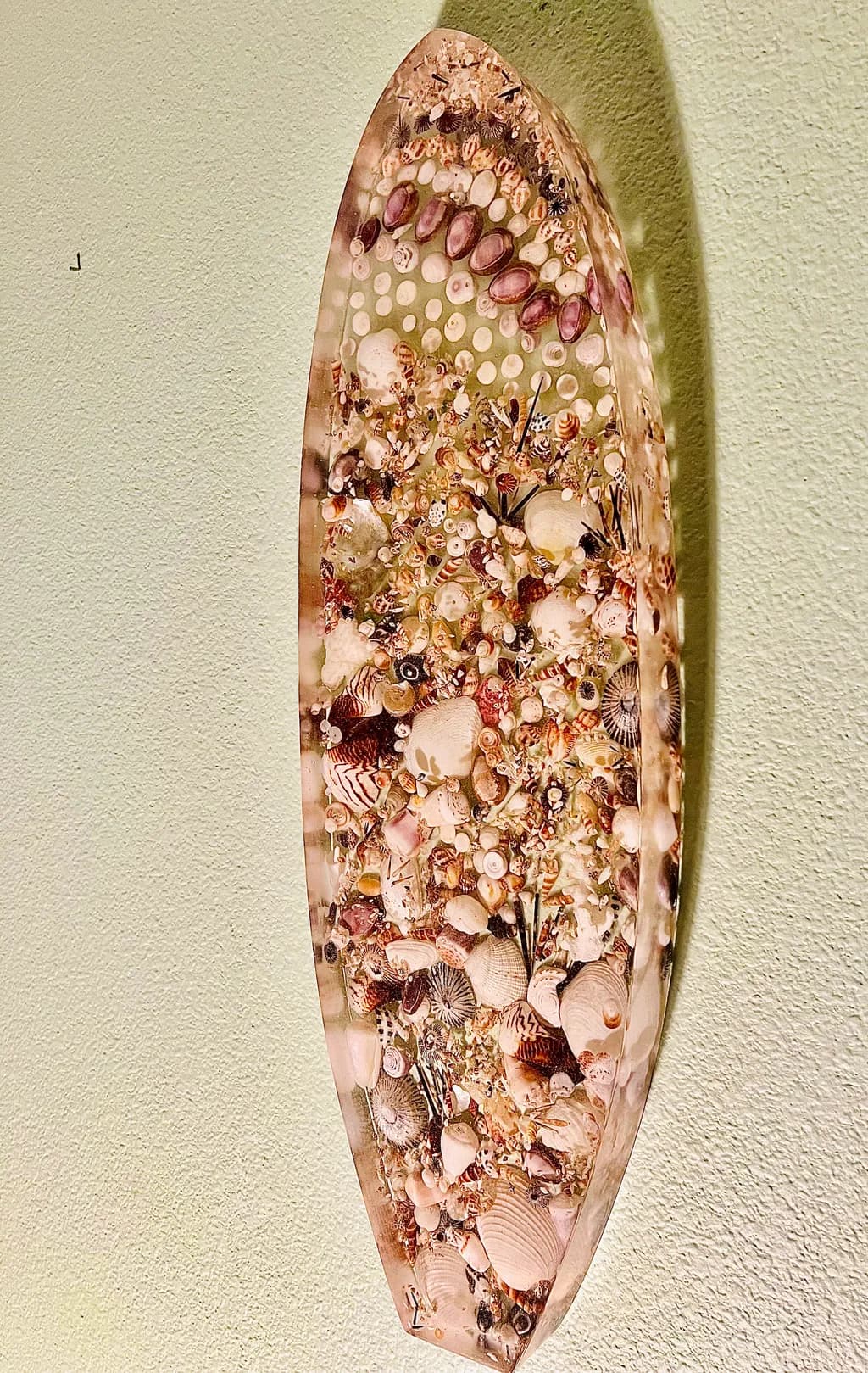 Seashell Shadowbox