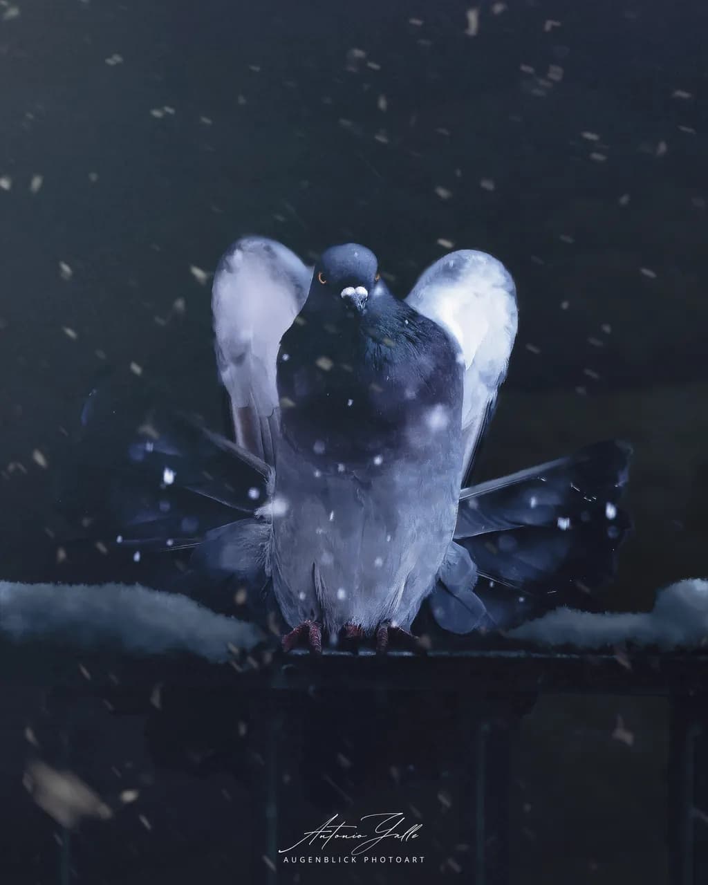 Winter Vigil