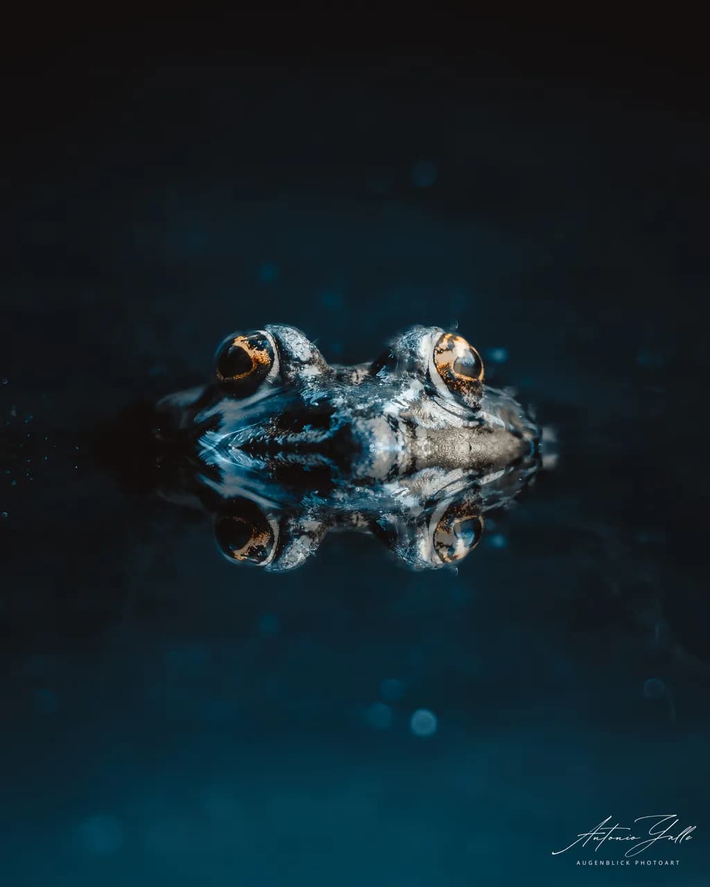 Reflected Gaze