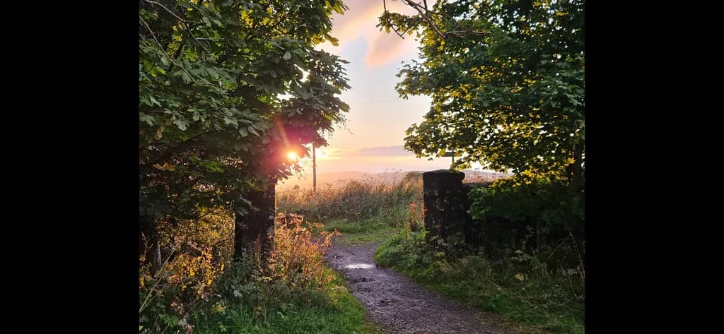 Sunlit Pathway