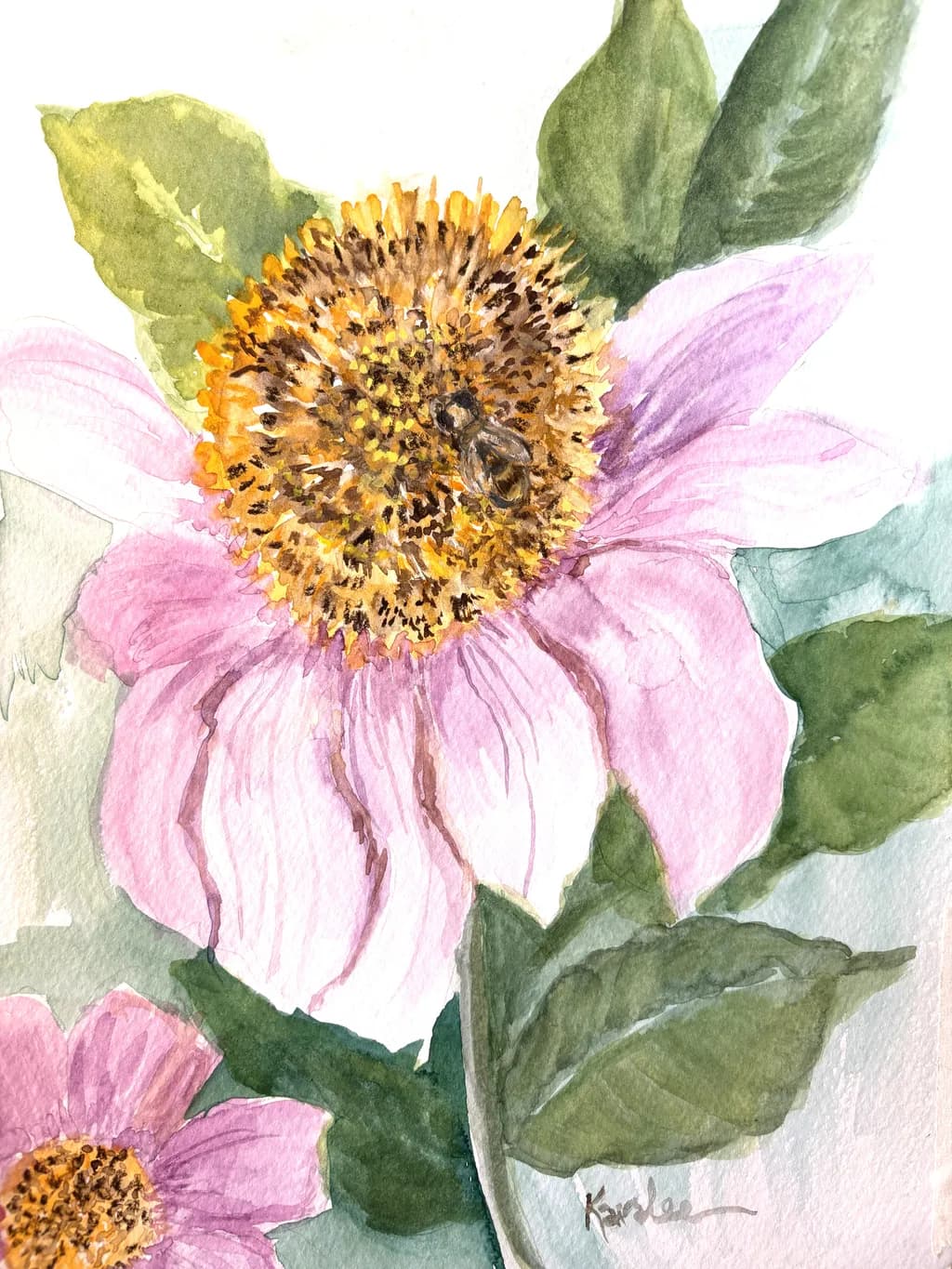Cone Flower Bloom
