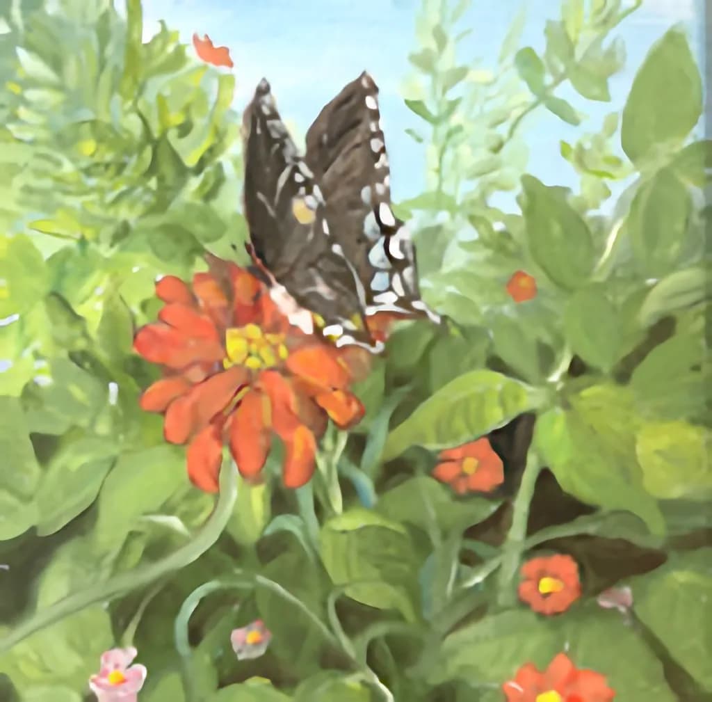 Zinnia with Black Swallowtail