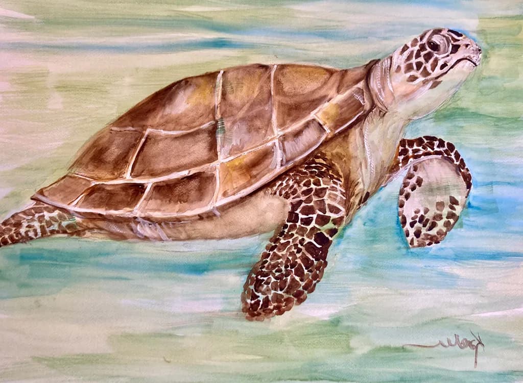 Tortoise Portrait