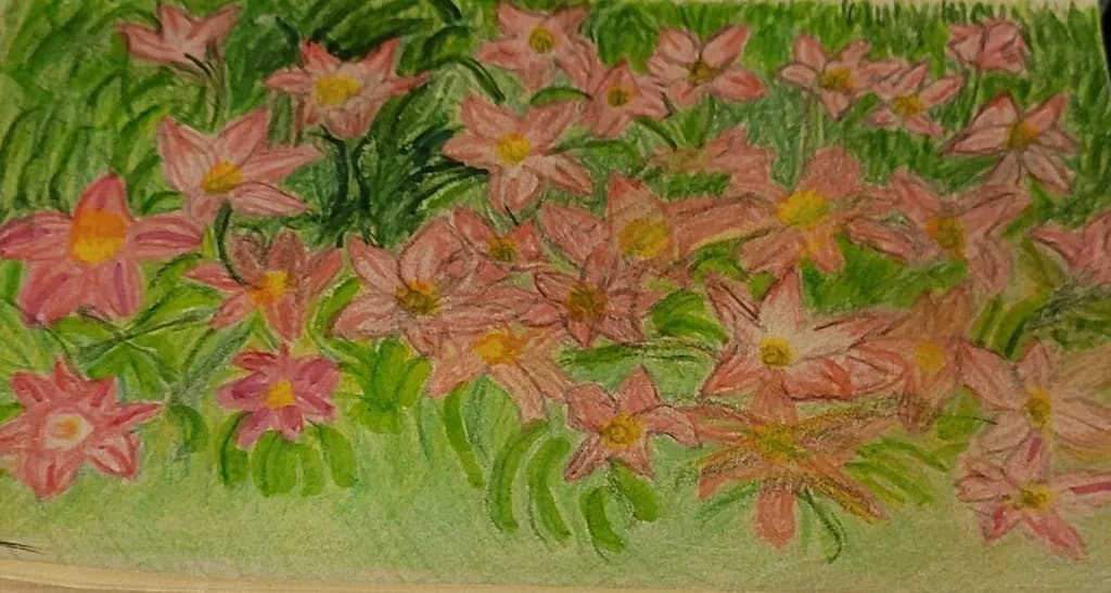 Pink Flower Cluster