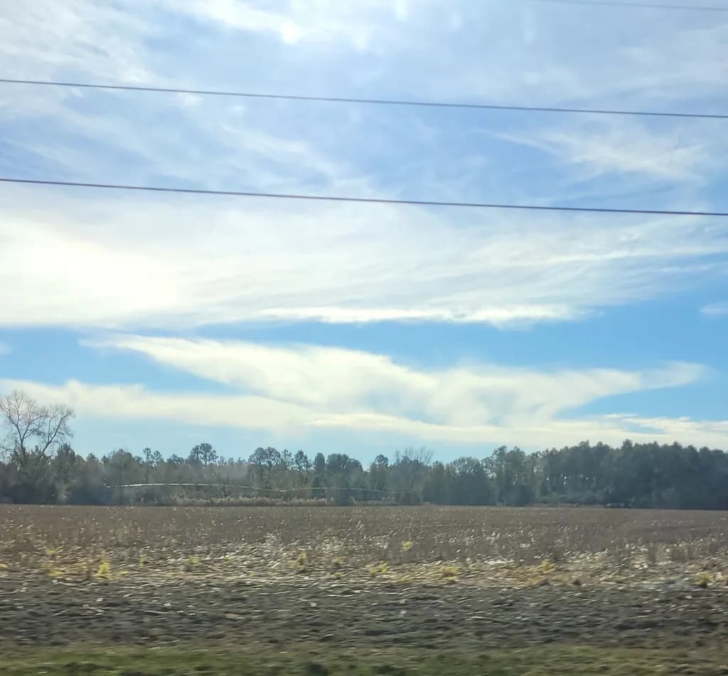 Open Field Breeze