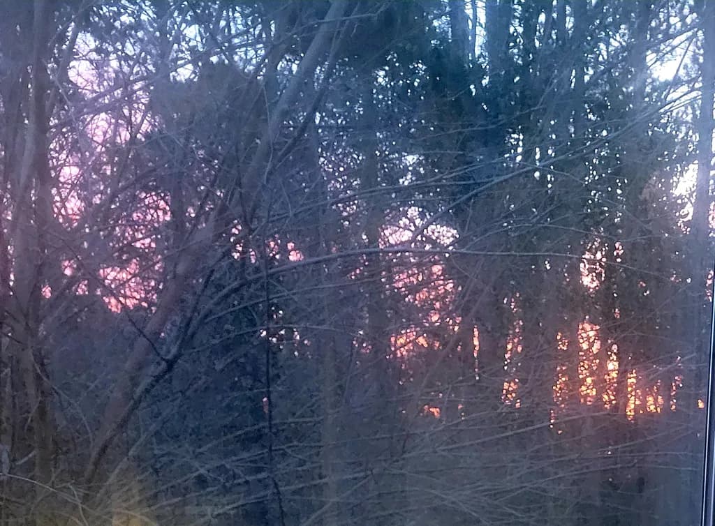 Winter Sunrise Glow
