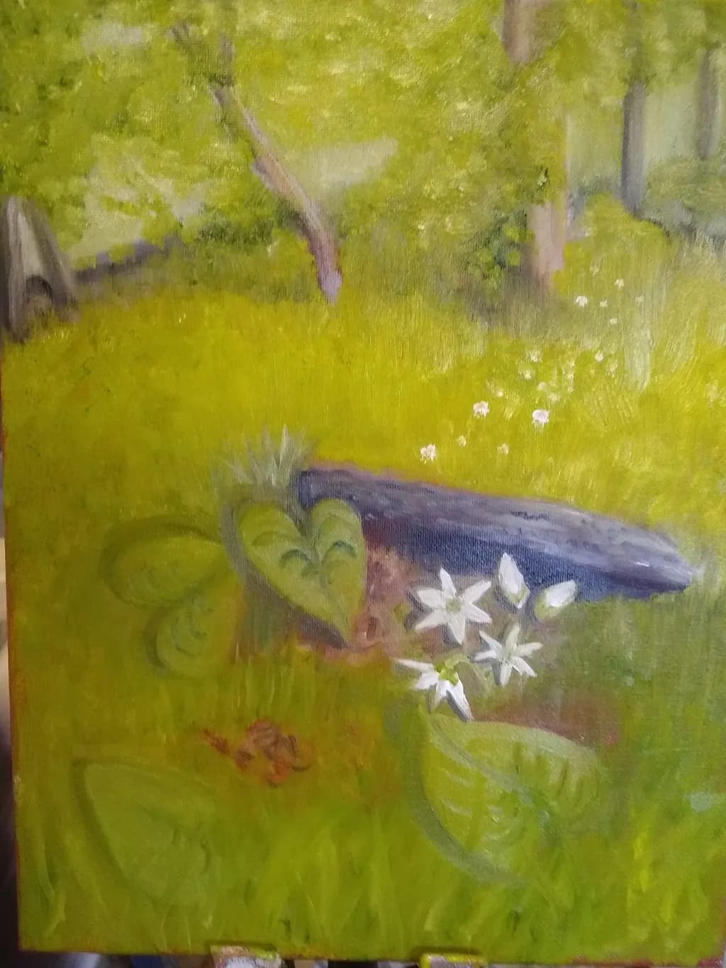 Star Flowers 
