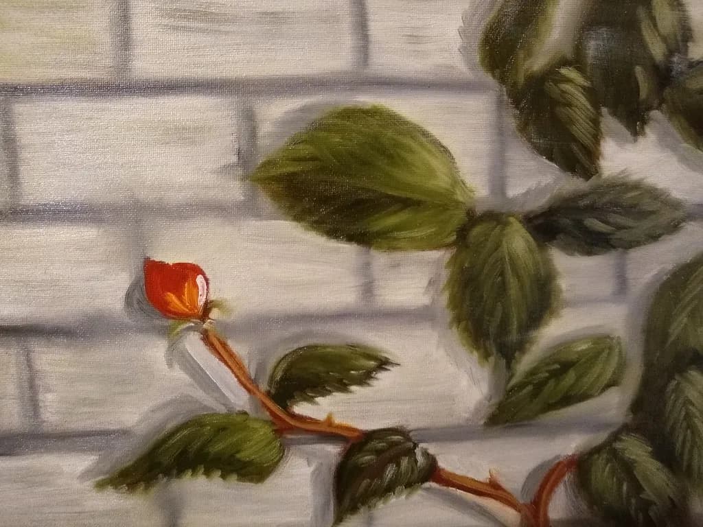 The First Rosebud